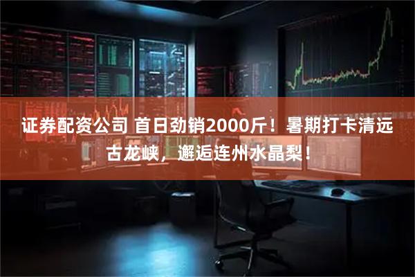 证券配资公司 首日劲销2000斤！暑期打卡清远古龙峡，邂逅连州水晶梨！