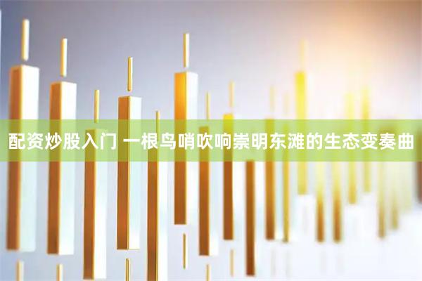 配资炒股入门 一根鸟哨吹响崇明东滩的生态变奏曲